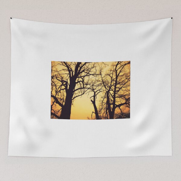 Item preview, Morning Trees designed and sold by Frankie Cat Photography.