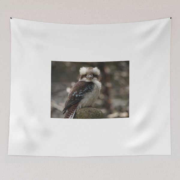 Item preview, Olympus E410 1/200 F5.6 252mm iso 200 designed and sold by Tom McDonnell.
