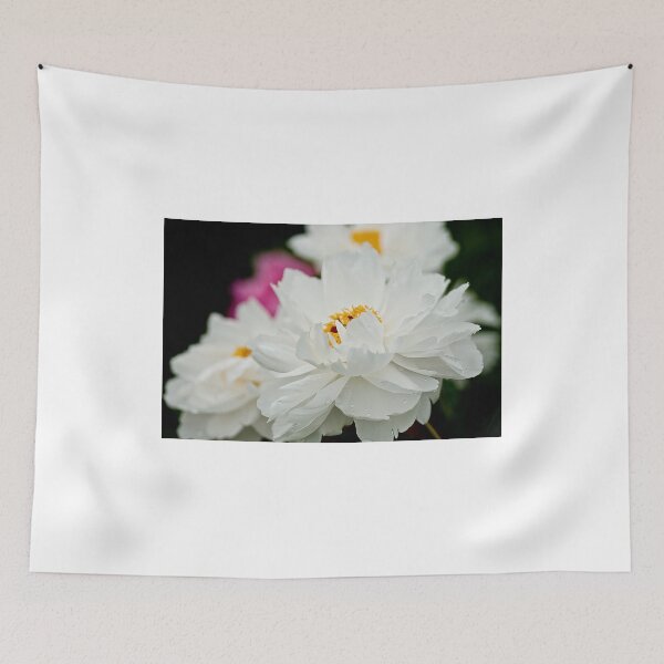 Item preview, Peony - Central Experimental Farm, Ottawa designed and sold by Tracey  Dryka.
