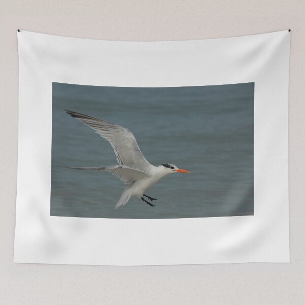 Item preview, coming in for a landing designed and sold by kathy s gillentine.