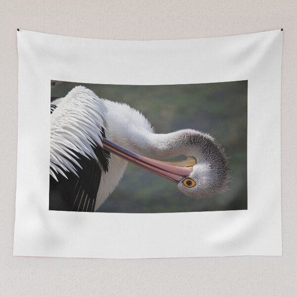 Item preview, Preening Pelican designed and sold by Stuart Robertson Reynolds.