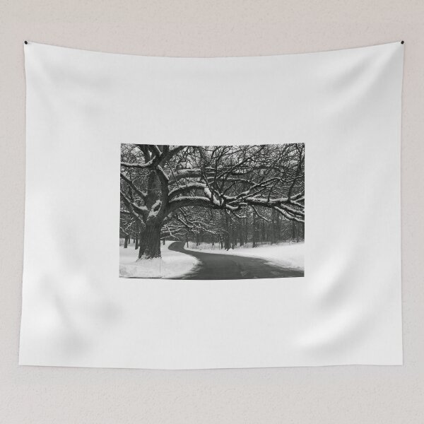 Item preview, Winding Path designed and sold by Brian Gaynor.