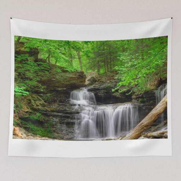 Item preview, Emerald Trees Surround R. B. Ricketts Falls designed and sold by Gene Walls.