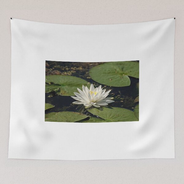 Item preview, Water lily - Chaffey's Locks, Ontario designed and sold by Tracey  Dryka.