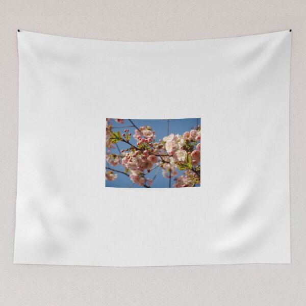 Item preview, Cherry blossom, Spring morning sky designed and sold by Themis.