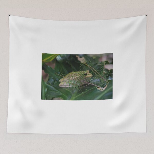 Item preview, Mr Whitey, the Frog designed and sold by Sandra Albin.