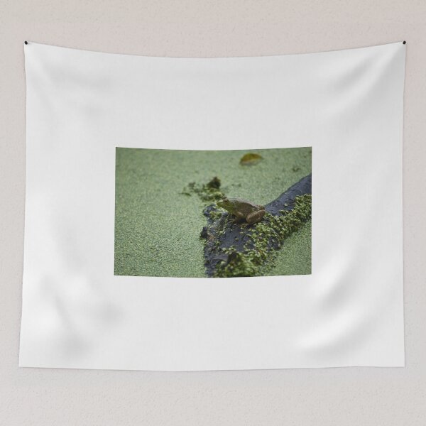 Item preview, Green Frog designed and sold by Diego Re.