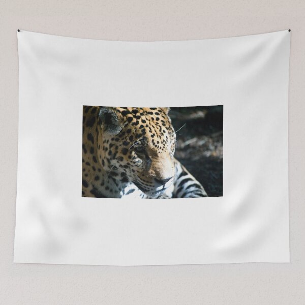 Item preview, Focused Feline designed and sold by Diego Re.