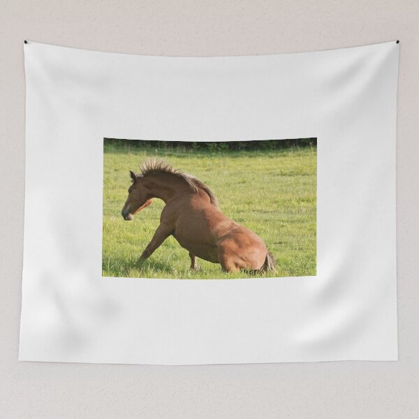 Item preview, After a roll!! designed and sold by Tracey  Dryka.