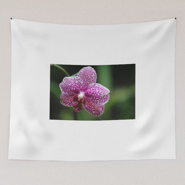 Item preview, Spotty designed and sold by Jeanie93.