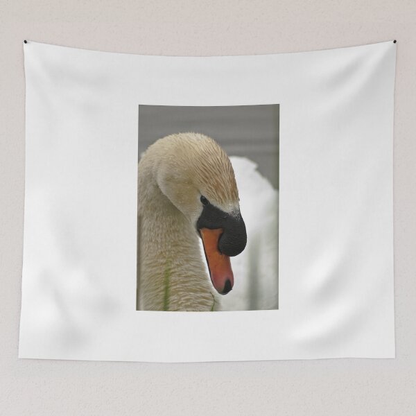 Item preview, Mute Swan - Cygnus olor designed and sold by Tracey  Dryka.