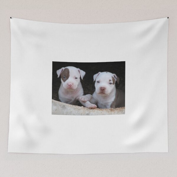 Item preview, MINE designed and sold by Ginny York.