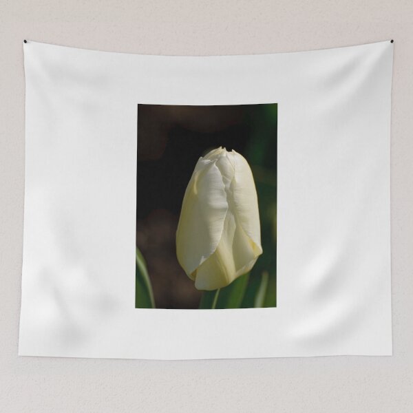 Item preview, Tulip 2 - Dow's Lake, Ottawa, ON designed and sold by Tracey  Dryka.