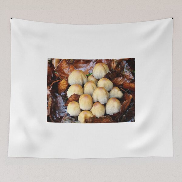 Item preview, Fungi&leaves designed and sold by mikeloughlin.