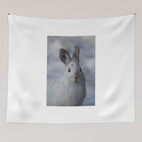 Item preview, Curiousity - Ottawa, Ontario designed and sold by Tracey  Dryka.