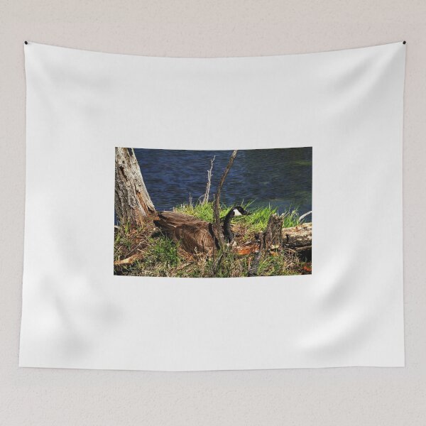 Item preview, Shhh...She's Nesting designed and sold by Larry Trupp.