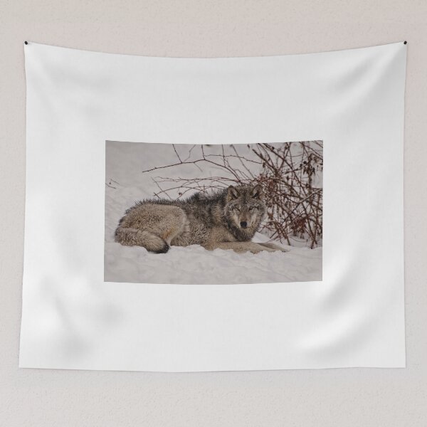 Item preview, Focus! designed and sold by Tracey  Dryka.