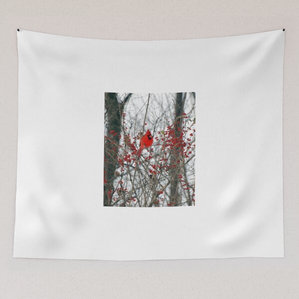 Item preview, Cardinal  designed and sold by Vonnie Murfin.