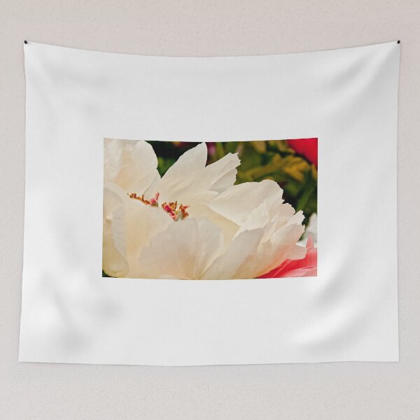 Item preview, Peony -  Ottawa, Ontario designed and sold by Tracey  Dryka.