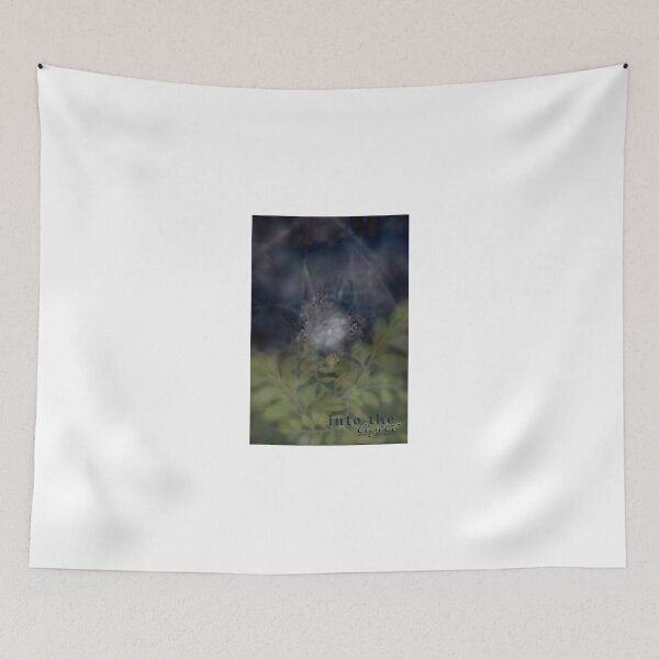 Item preview, INTO THE LIGHT and Beyond © Vicki Ferrari designed and sold by Vicki Ferrari Photography.