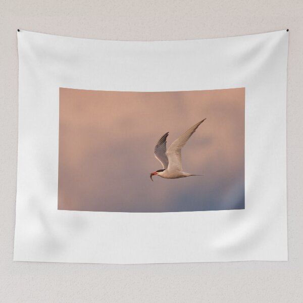 Item preview, Common Tern with fish designed and sold by James Cumming.