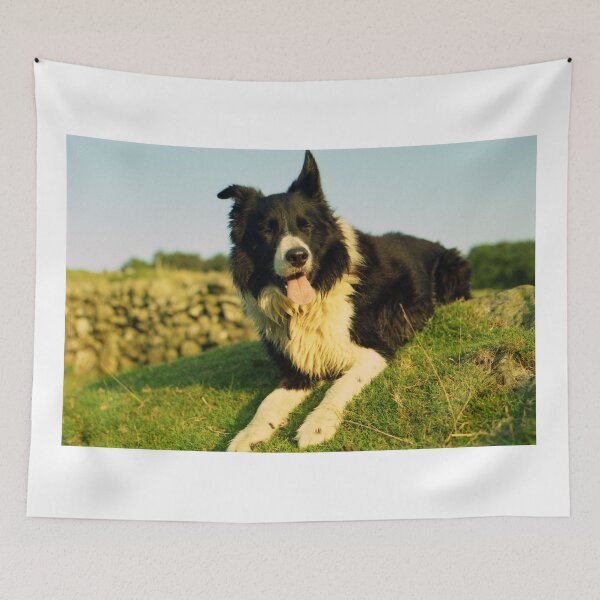 Item preview, Indy and the golden light. designed and sold by Michael Haslam.