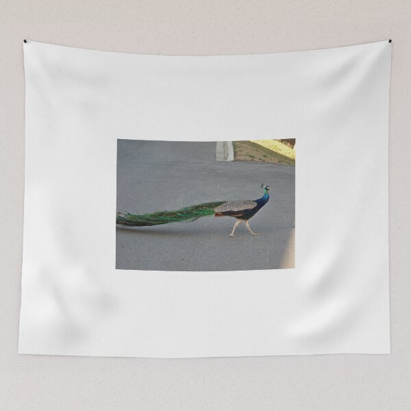 Item preview, Peacock Strutting designed and sold by Nora Caswell.