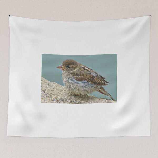 Item preview, Young Sparrow At Waterfront designed and sold by lynn carter.
