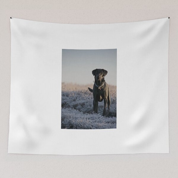 Item preview, Out Of The Blue designed and sold by Jennifer Bradford.