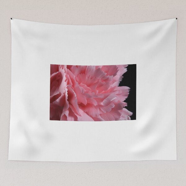 Item preview, Secrets of Carnation designed and sold by SmoothBreeze7 | Liz Collet Photography.