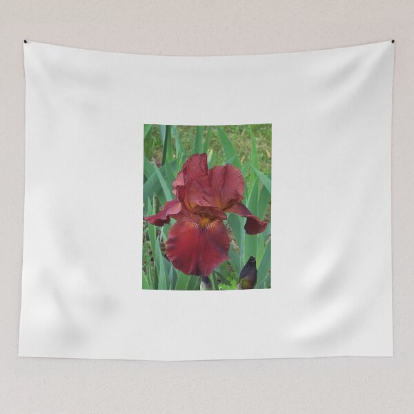 Item preview, Red Iris designed and sold by Ginny York.