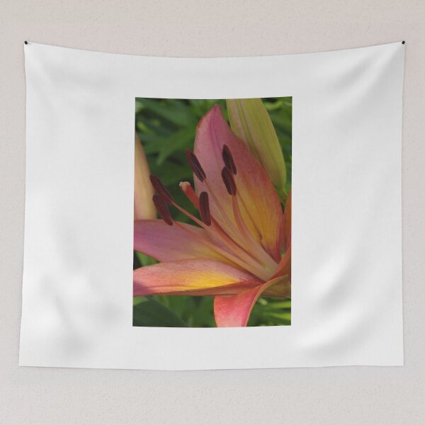 Item preview, Asiatic lily - my garden designed and sold by Tracey  Dryka.