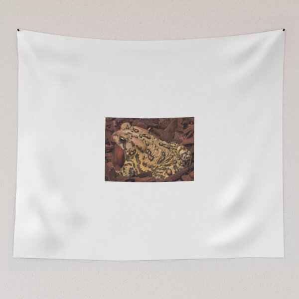 Item preview, toad designed and sold by David Chesluk.