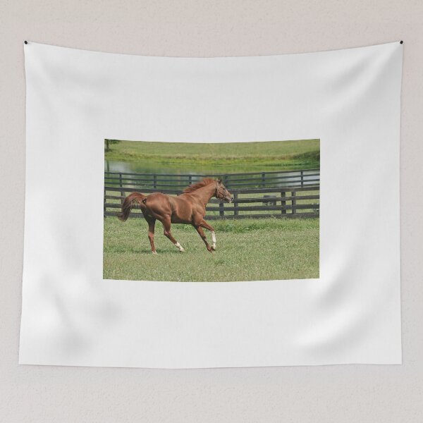Item preview, Living the easy life!! (view large) designed and sold by Tracey  Dryka.