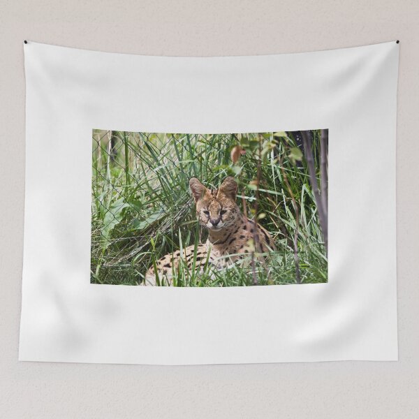 Item preview, Serval designed and sold by eegibson.