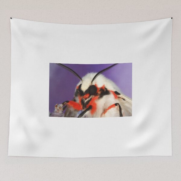 Item preview, Red Baron designed and sold by Ken Boxsell.