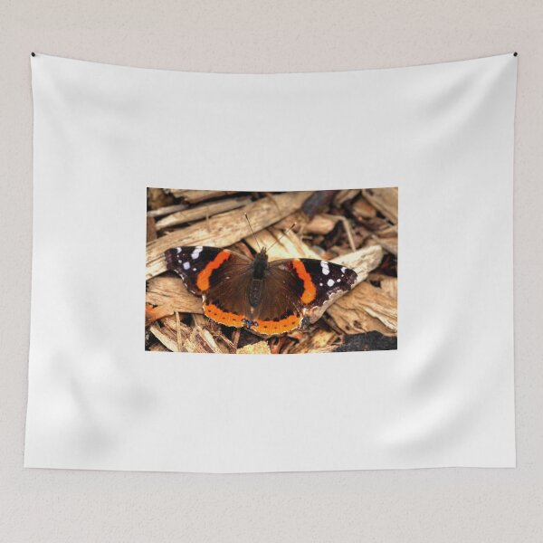 Item preview, 'Admirable'  Beauty designed and sold by Larry Trupp.