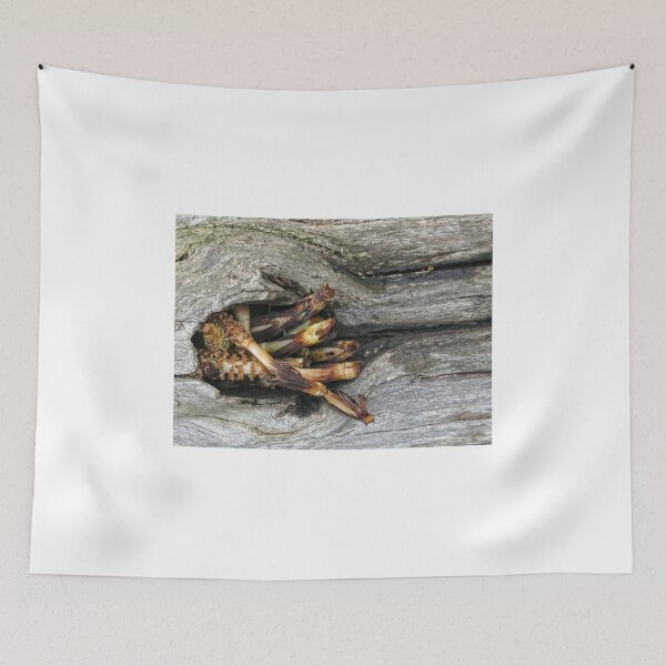 Item preview, New Life In Old Fallen Log designed and sold by lynn carter.