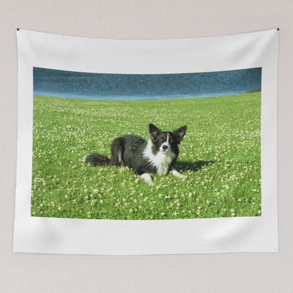 Item preview, Bob in the Daisies designed and sold by Michael Haslam.