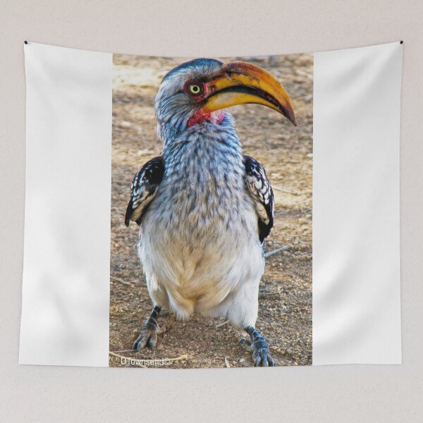 Item preview, Hornbill, Kruger National Park, South Africa designed and sold by Deborah V Townsend.