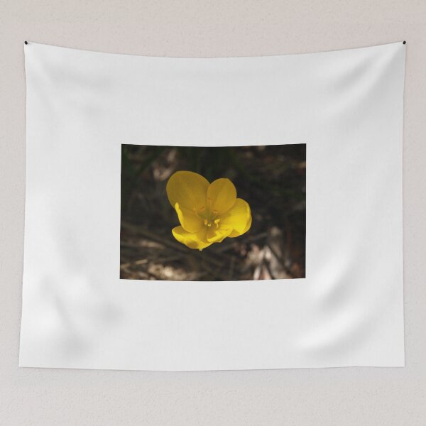 Item preview, 1st Crocus #2 designed and sold by Tom McDonnell.