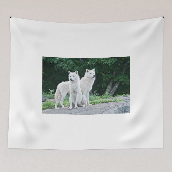 Item preview, Seating Arrangement designed and sold by Tracey  Dryka.