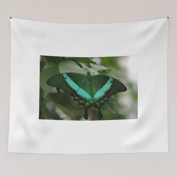 Item preview, Emerald Swallowtail designed and sold by Tracey  Dryka.