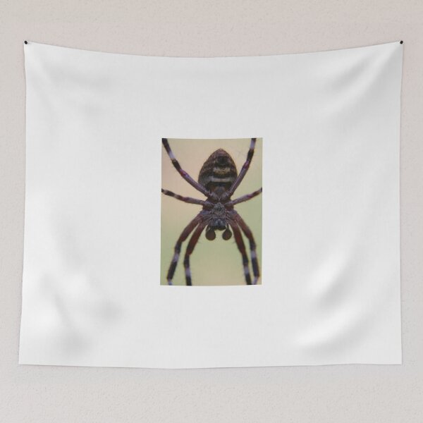Item preview, Spider in your face, Welstead, Western Australia designed and sold by BigAndRed.