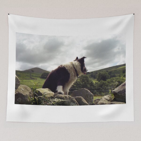 Item preview, Who goes there? designed and sold by Michael Haslam.