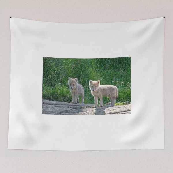 Item preview, Now who's the Angel!! designed and sold by Tracey  Dryka.