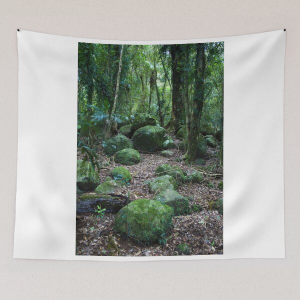 Item preview, Mossy Boulders - Springbrook N.P designed and sold by Jordan Miscamble.