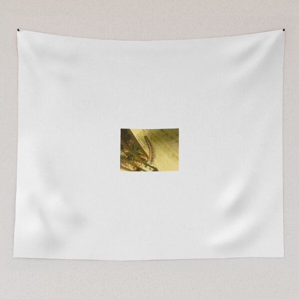 Item preview, Investigation designed and sold by Andy Rhodes Art.