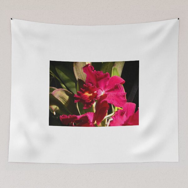 Item preview, Cattleya Orchid designed and sold by Vanessa Nebenfuhr.