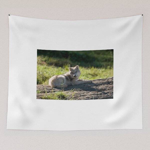 Item preview, Being Lazy!! designed and sold by Tracey  Dryka.